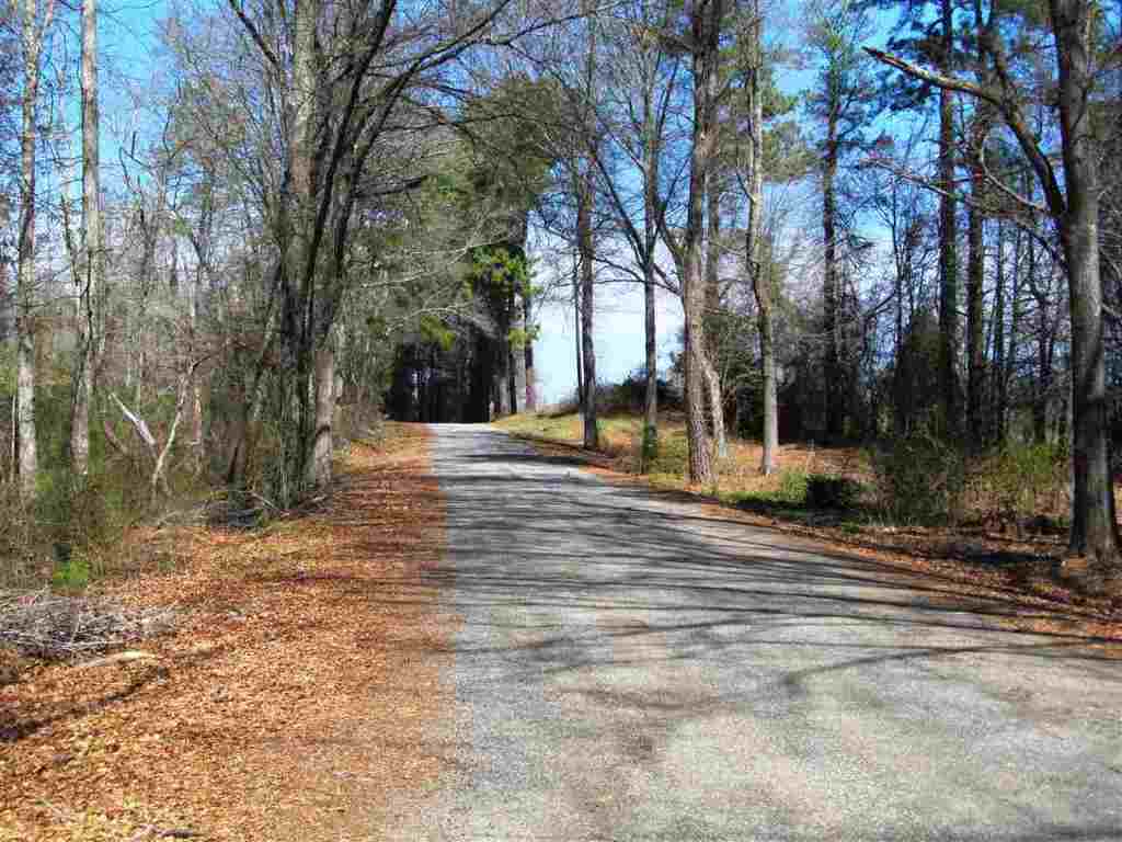 Lot 1 Jim Smith Road Pendleton, SC 29670 - Photo 6 of 7