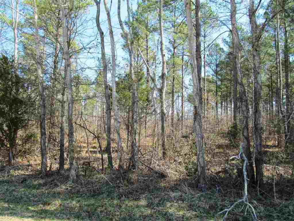 Lot 1 Jim Smith Road Pendleton, SC 29670 - Photo 7 of 7