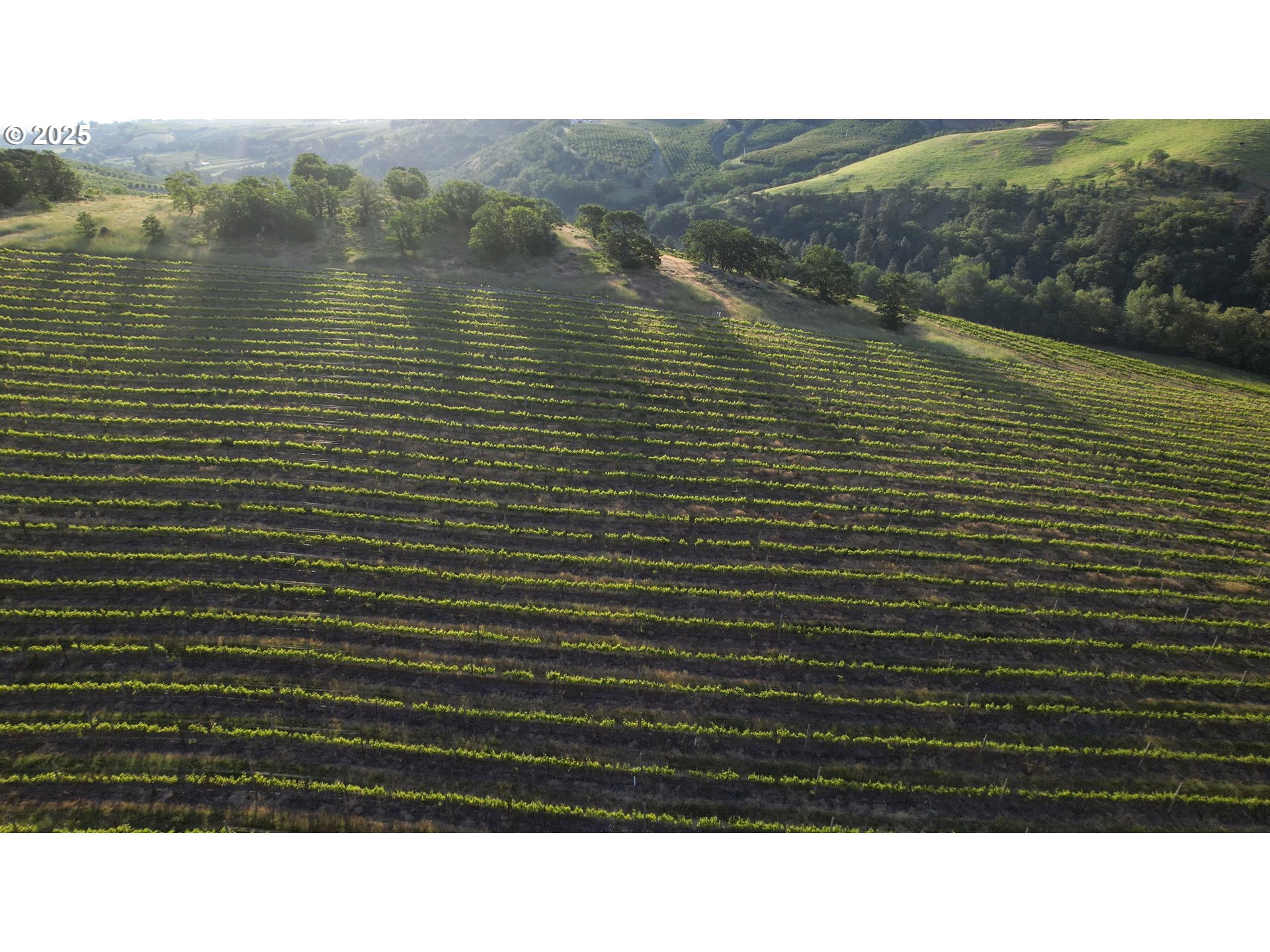 5450 Mill Creek Road The Dalles, OR 97058 - Photo 33 of 44