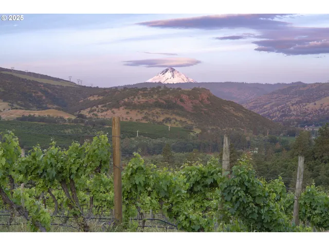 $2,850,000 | 5450 Mill Creek Road, The Dalles, OR 97058