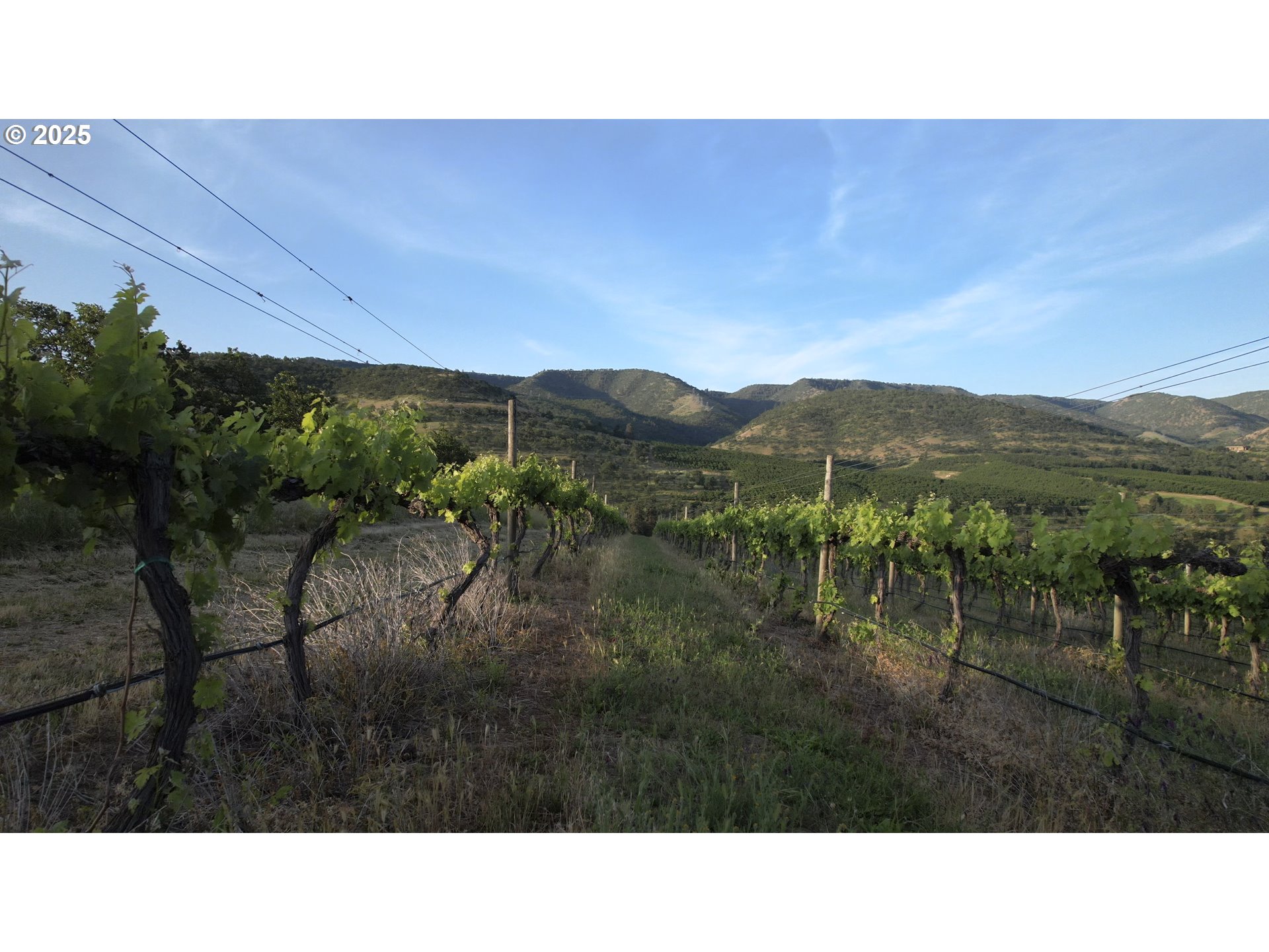 5450 Mill Creek Road The Dalles, OR 97058 - Photo 39 of 44