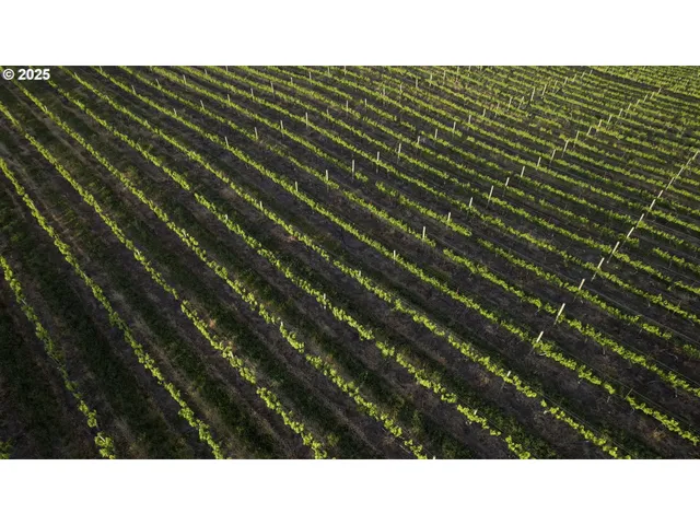 $2,850,000 | 5450 Mill Creek Road, The Dalles, OR 97058