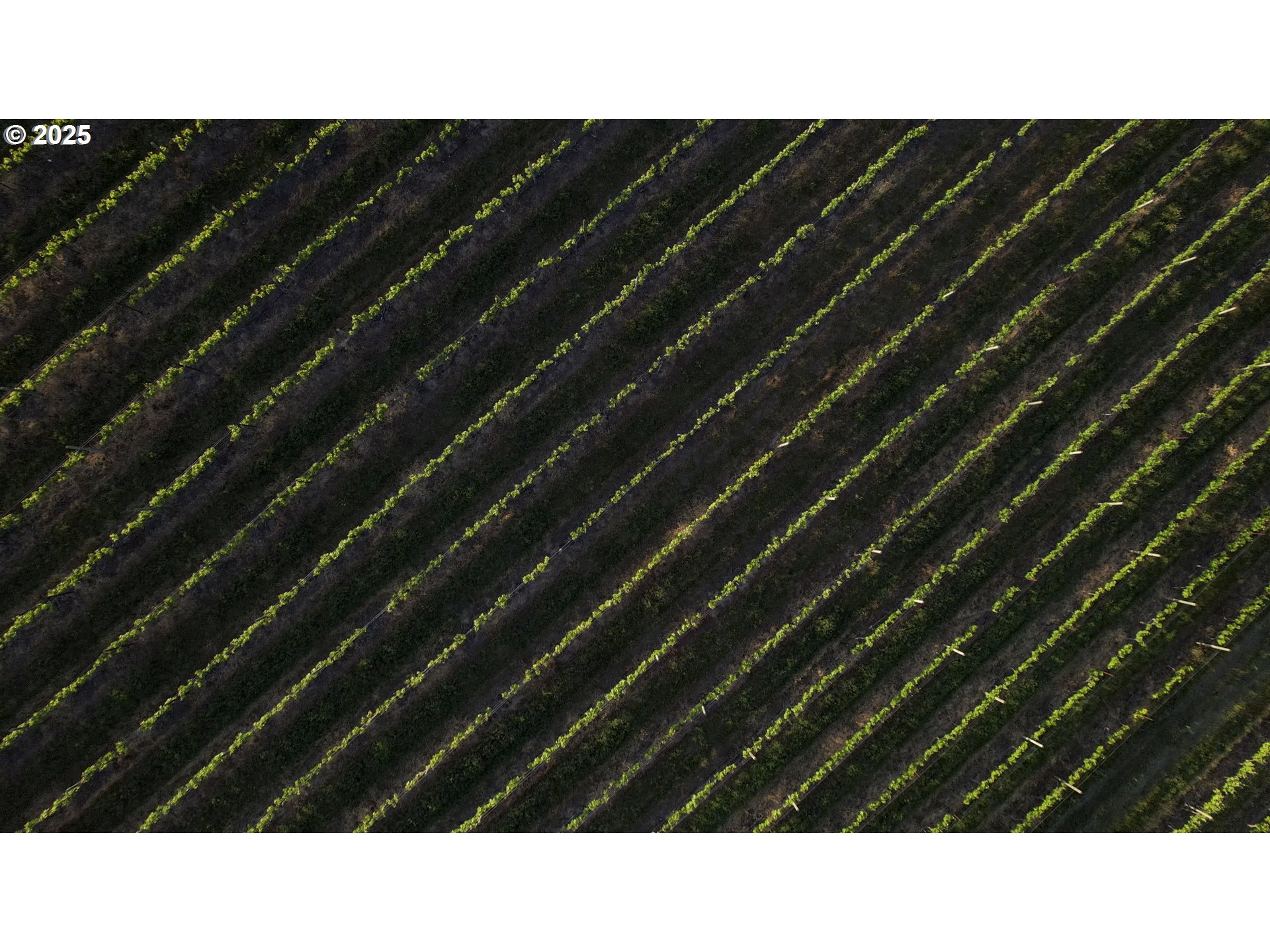 5450 Mill Creek Road The Dalles, OR 97058 - Photo 43 of 44