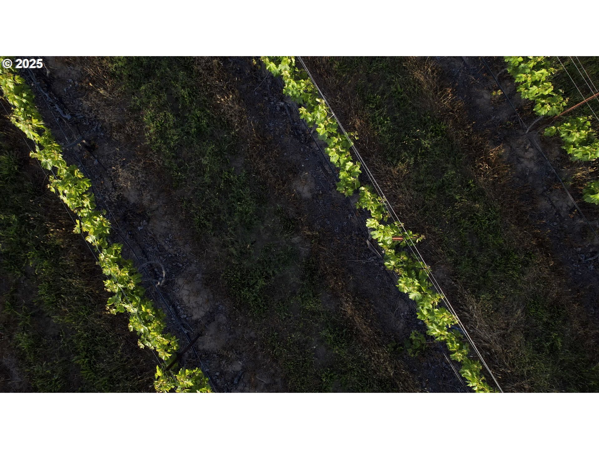 5450 Mill Creek Road The Dalles, OR 97058 - Photo 44 of 44