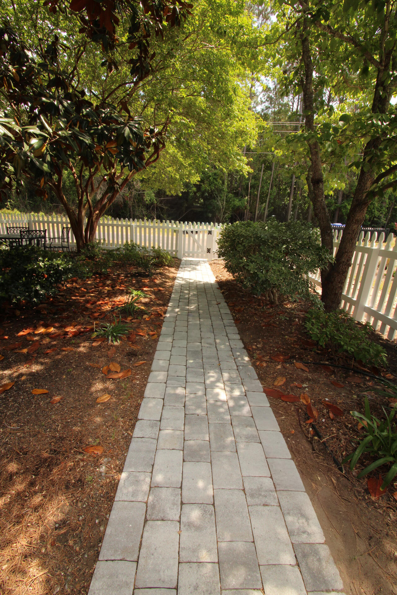 3344 Billings Street Mount Pleasant, SC 29466 - Photo 29 of 40 IMG_2354