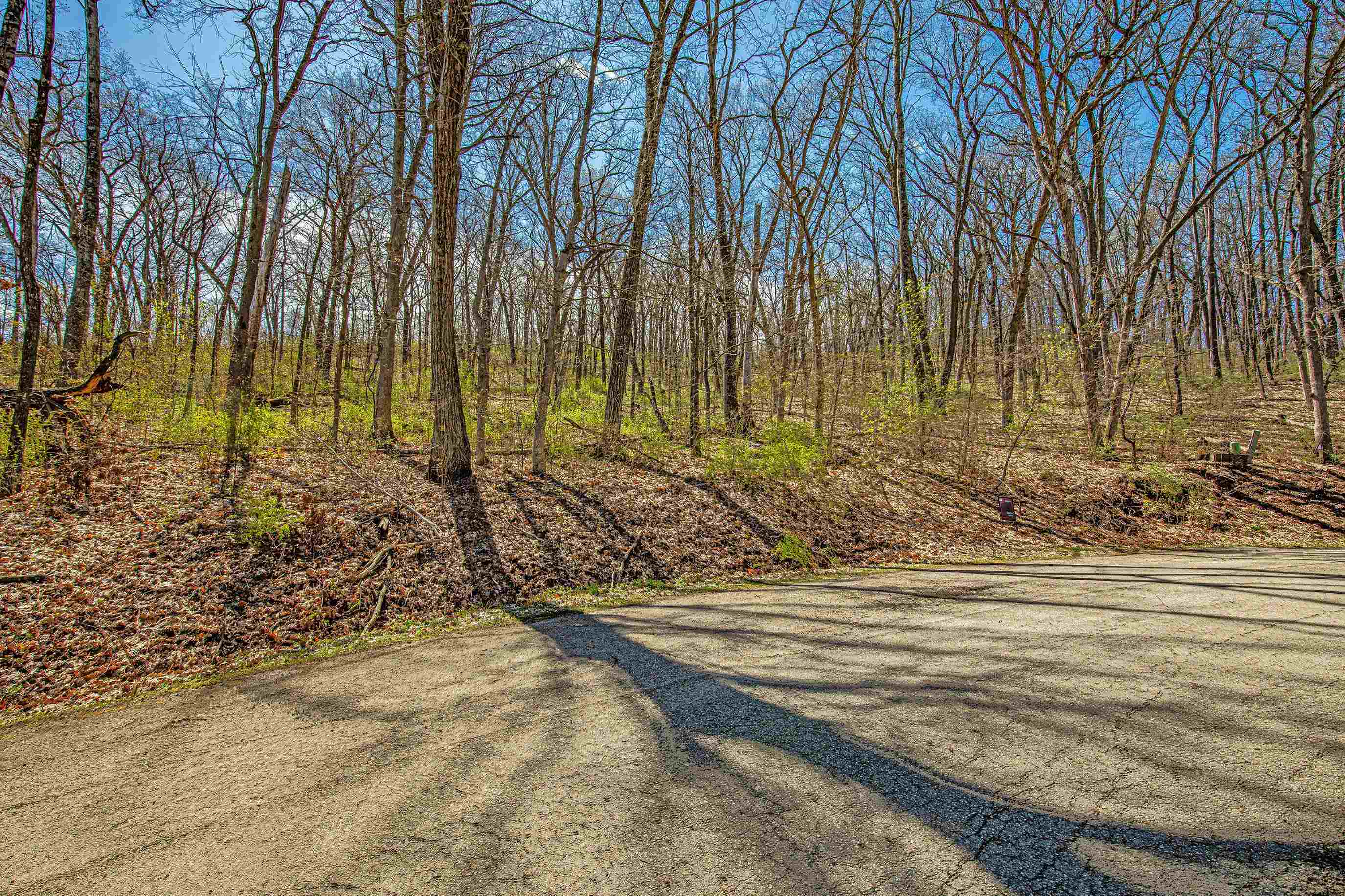 1316 South Springs Drive Spring Green, WI 53588 - Photo 4 of 11