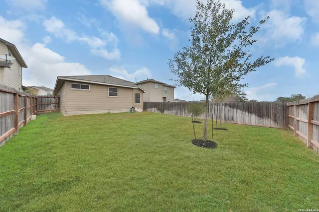 a house with a tree in front of it