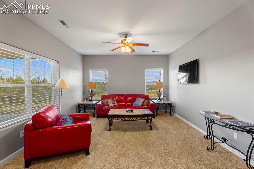 6040 Big Sky Drive Rye, CO 81069 - Photo 6 of 50 a living room with furniture