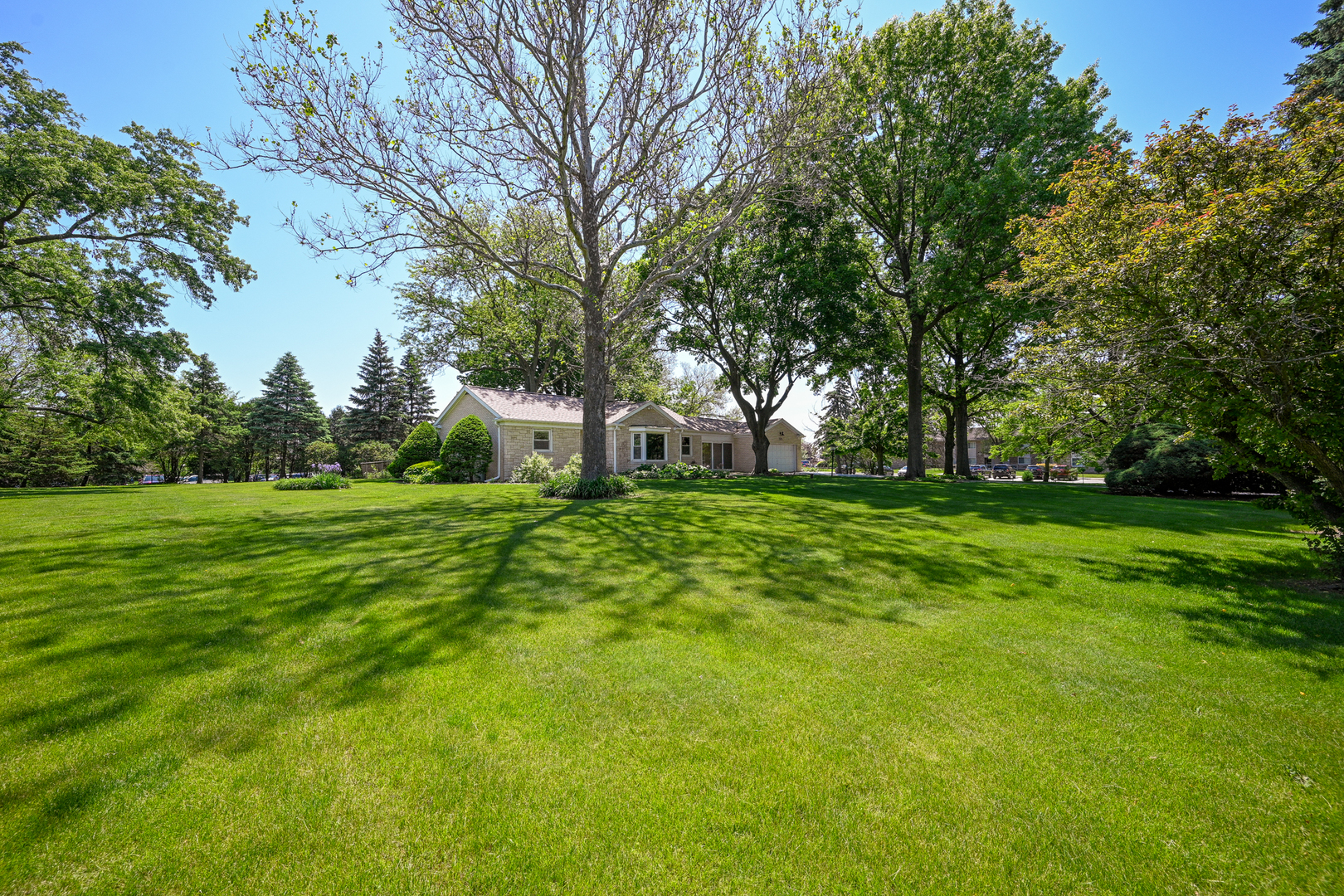 325 South Lambert Road Glen Ellyn, IL 60137 - Photo 7 of 32 a view of green field with tree in the background
