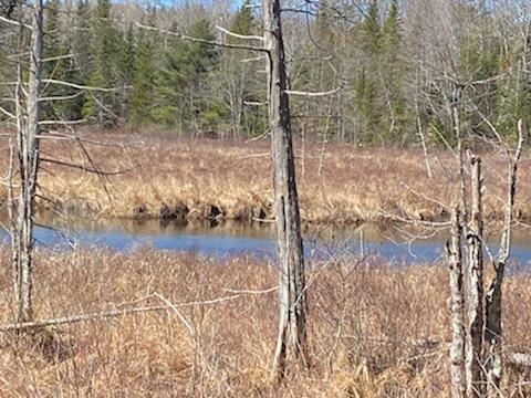 Lot 50 Lot Road Holden, ME 04429 - Photo 11 of 19 Mill Stream