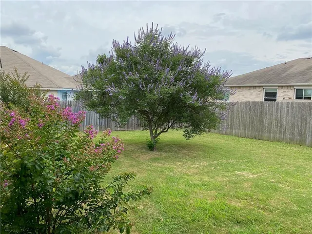 a garden with trees in front of it