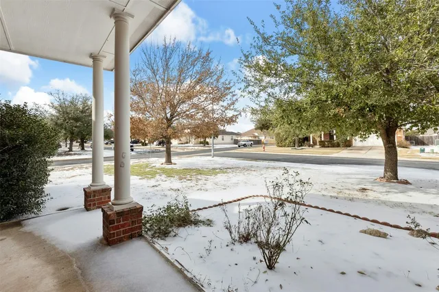 a view of a yard with a tree