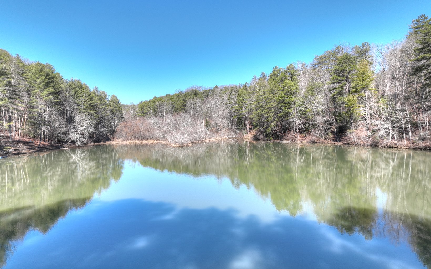 2124 Maxwell Road Blue Ridge, GA 30513 - Photo 2 of 66 a view of lake
