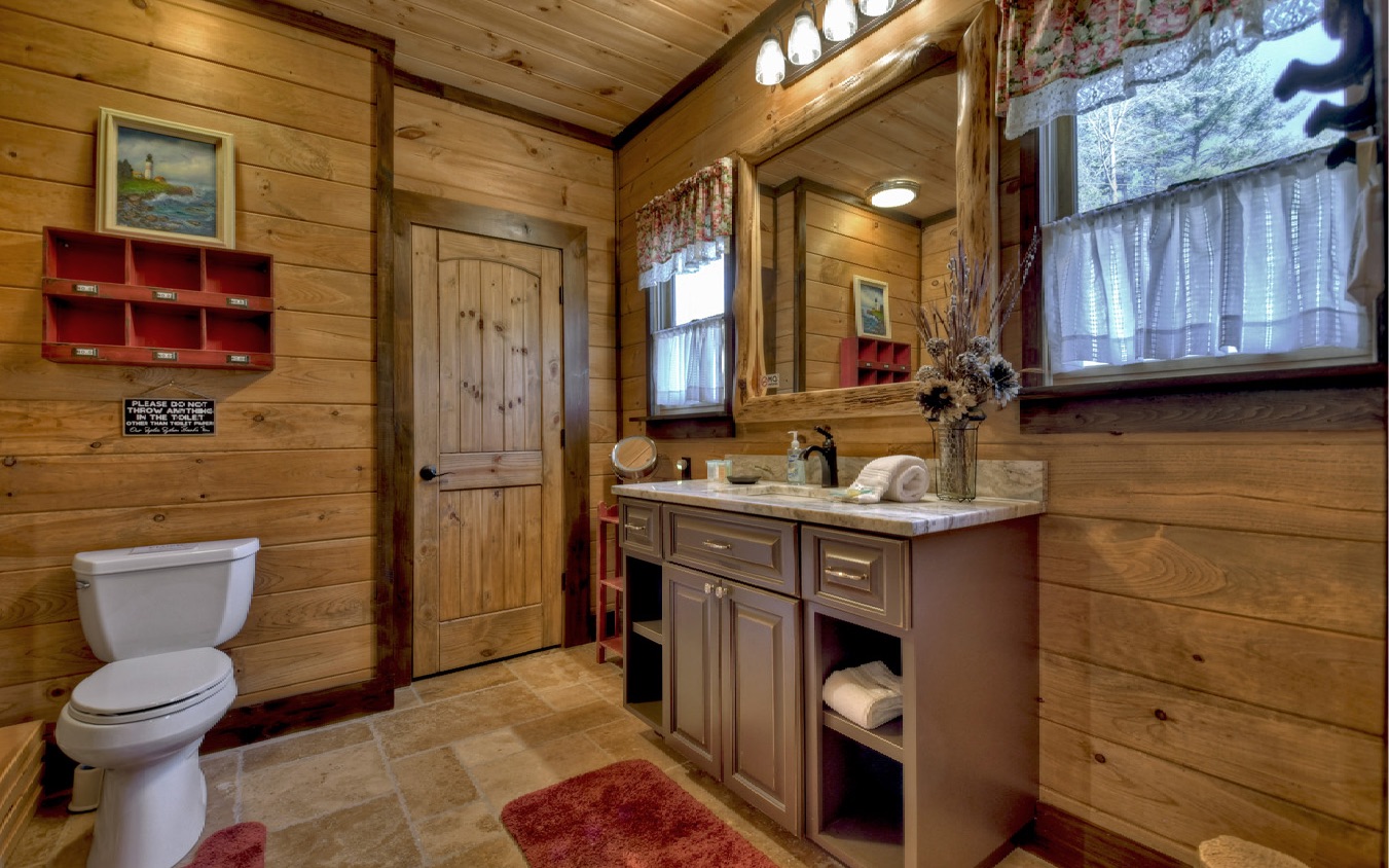 2124 Maxwell Road Blue Ridge, GA 30513 - Photo 28 of 66 a bathroom with a toilet a sink and mirror