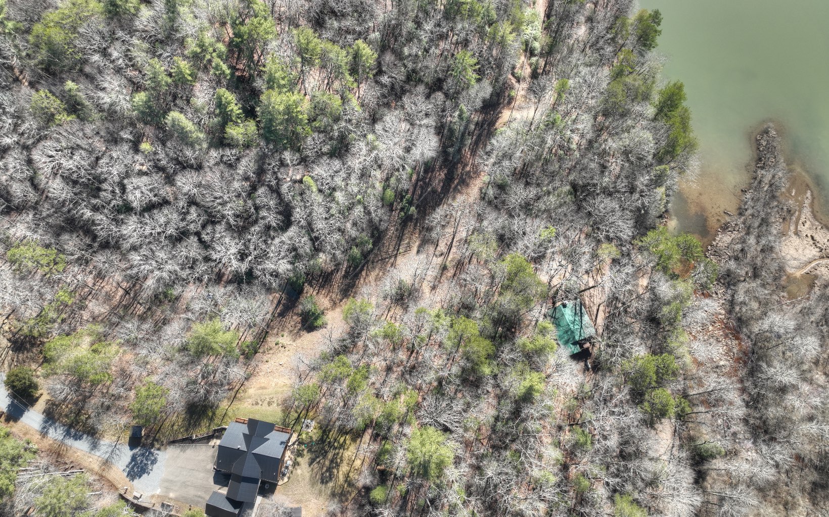 2124 Maxwell Road Blue Ridge, GA 30513 - Photo 43 of 66 a view of a forest with houses