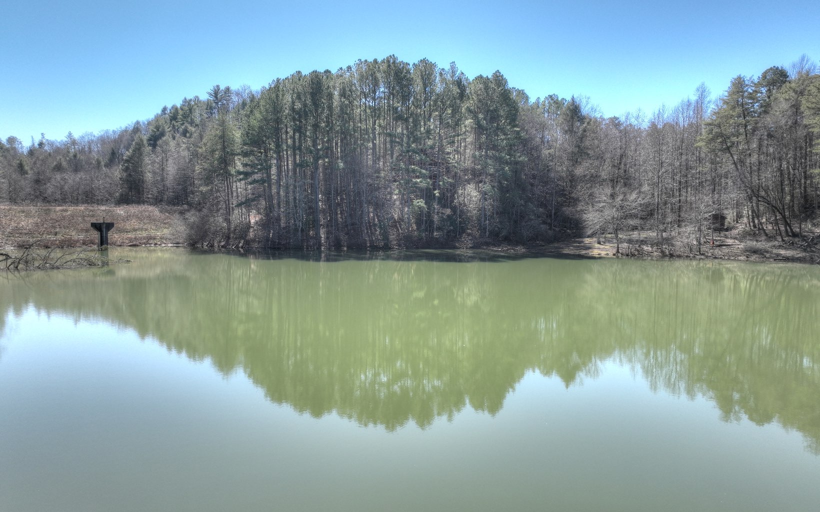 2124 Maxwell Road Blue Ridge, GA 30513 - Photo 44 of 66 a view of lake with green landscape