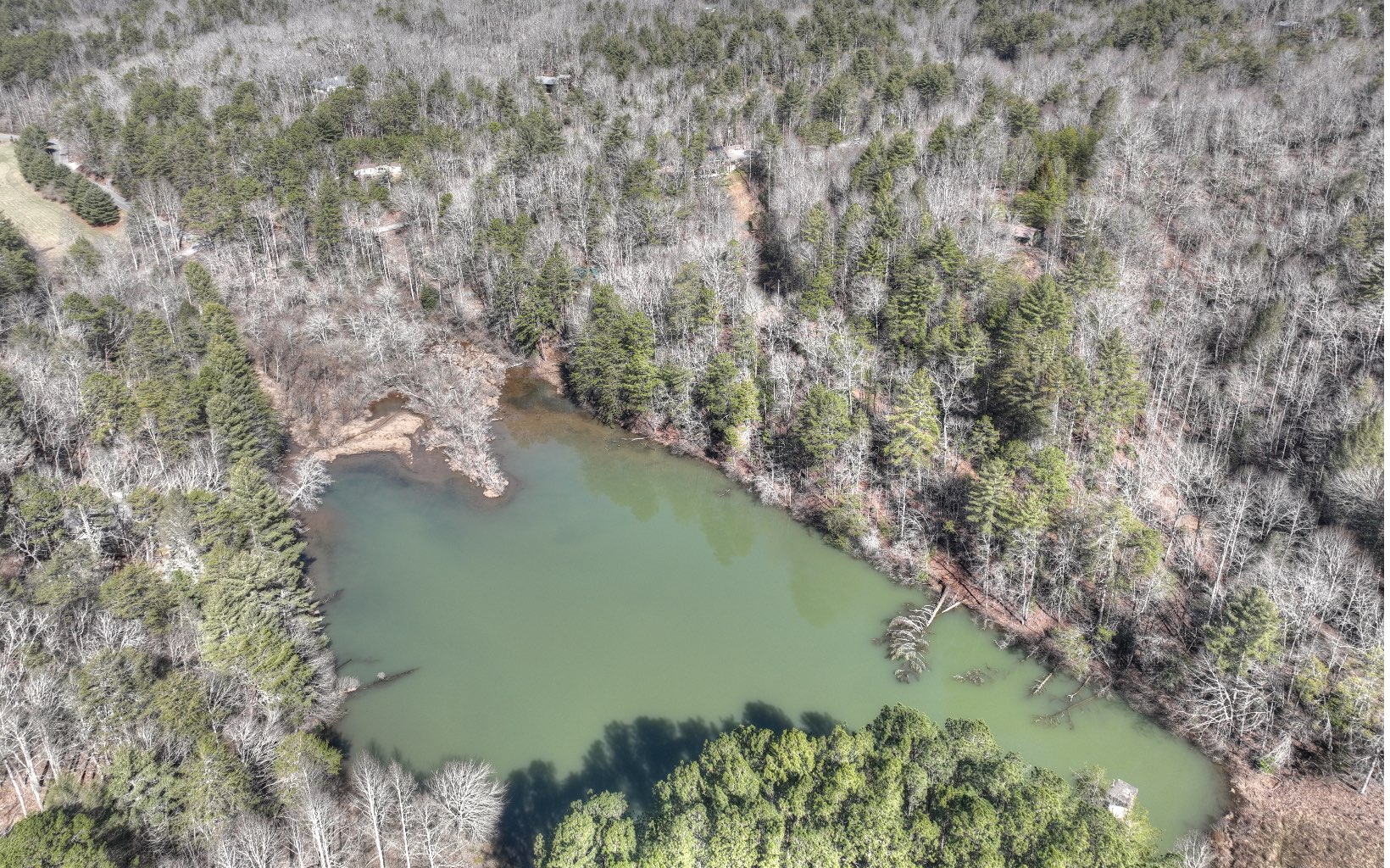 2124 Maxwell Road Blue Ridge, GA 30513 - Photo 45 of 66 a view of a lake with a yard