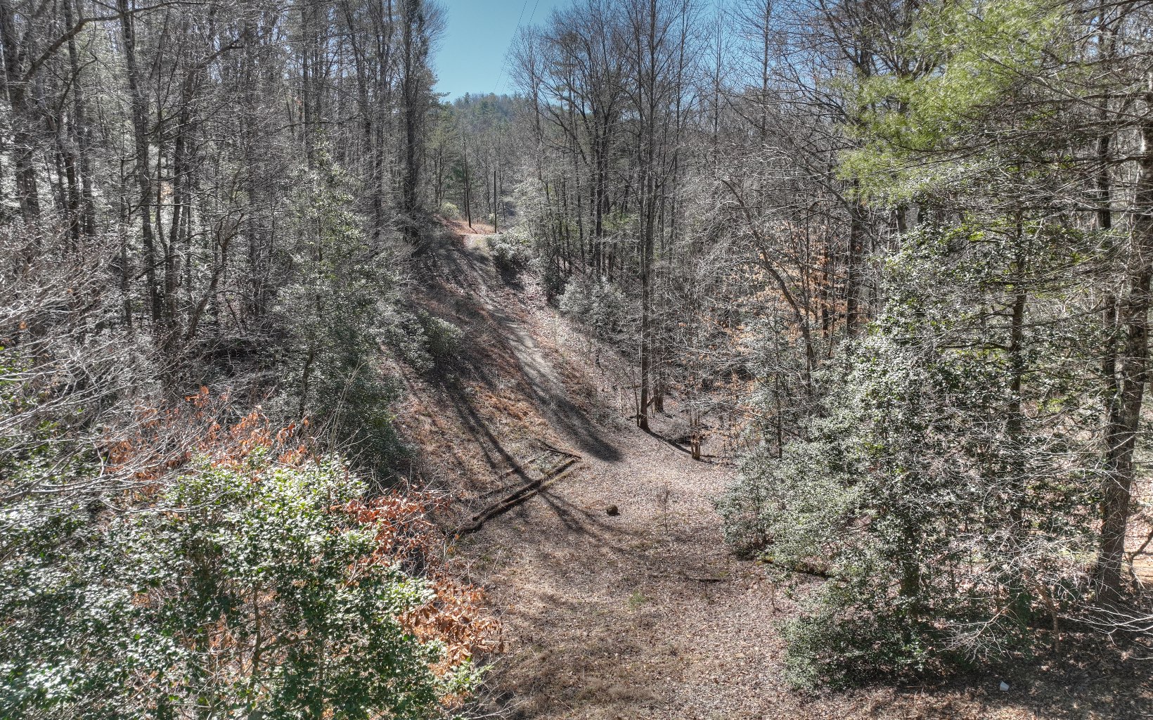 2124 Maxwell Road Blue Ridge, GA 30513 - Photo 46 of 66 Additional View