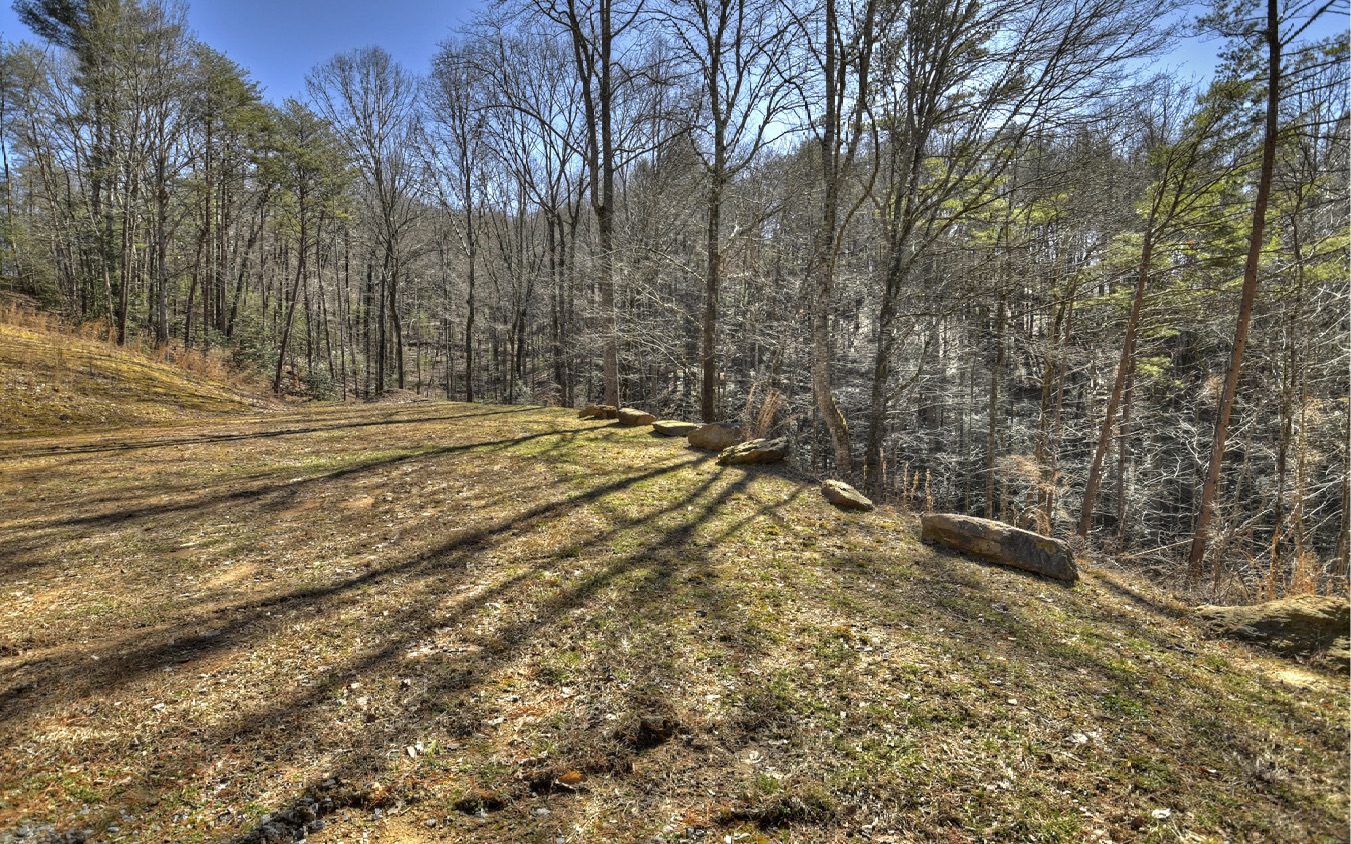 2124 Maxwell Road Blue Ridge, GA 30513 - Photo 63 of 66 a view of a yard with trees on both side of the road