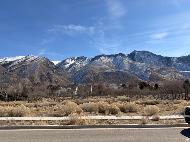 1664 North Dean Court, Unit 5 Alpine, UT 84004 - Photo 5 of 18