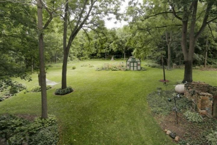 305 23 Mile Road Albion, MI 49224 - Photo 41 of 70 Mature trees