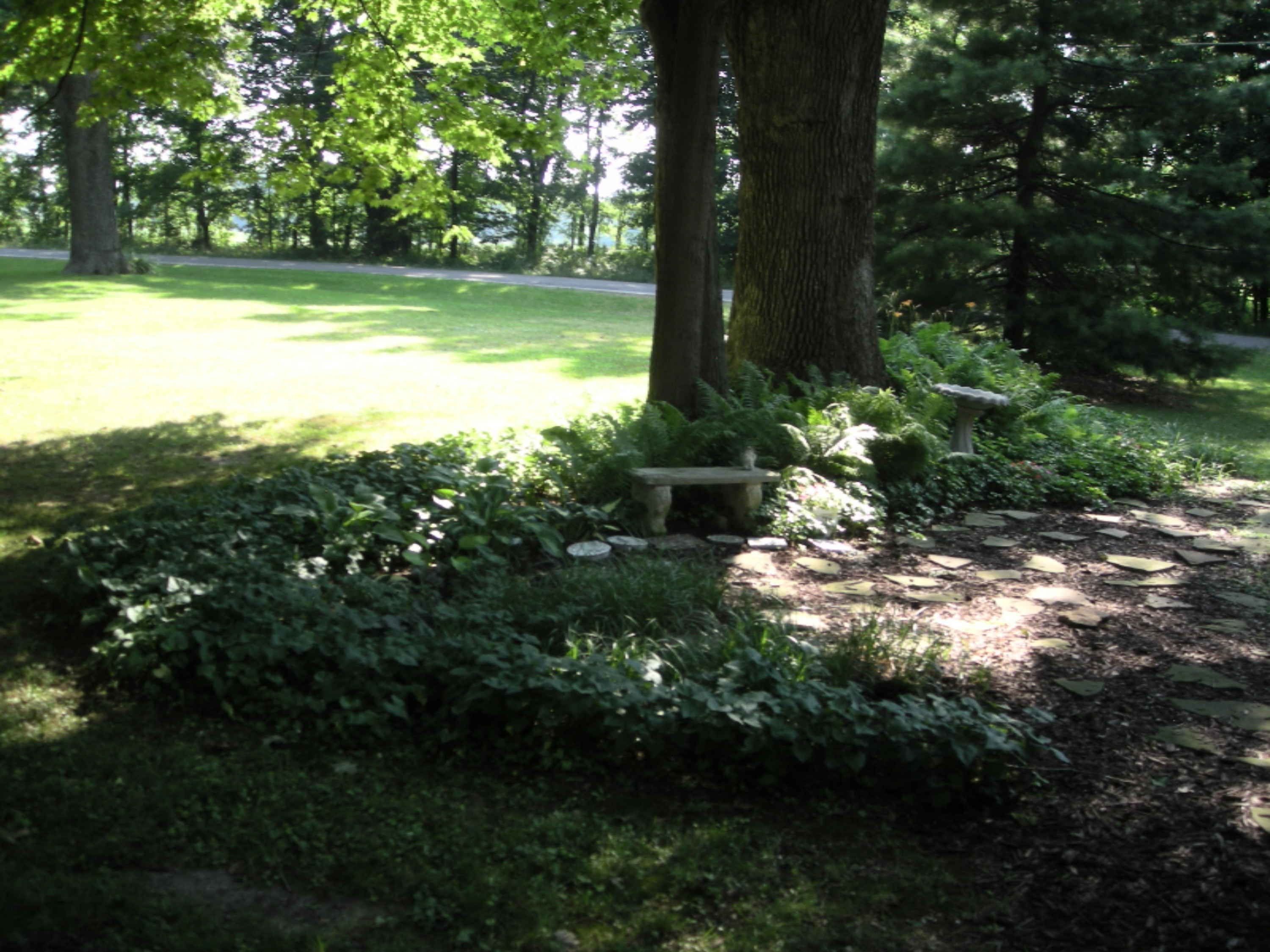 305 23 Mile Road Albion, MI 49224 - Photo 60 of 70 Bench to enjoy your secret garden.