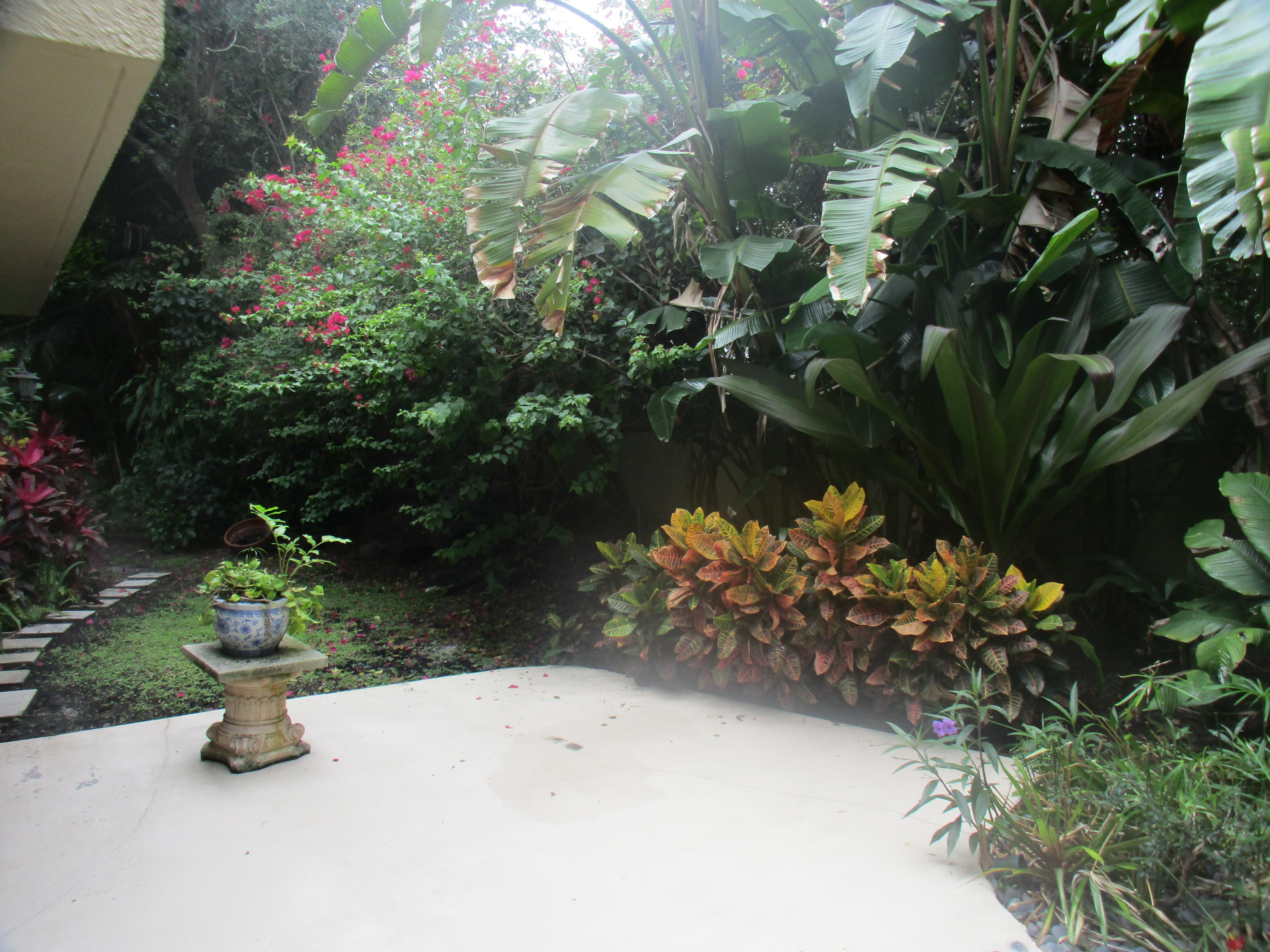 791 St Albans Drive Boca Raton, FL 33486 - Photo 14 of 41 Rear Patio - Gorgeous Foliage