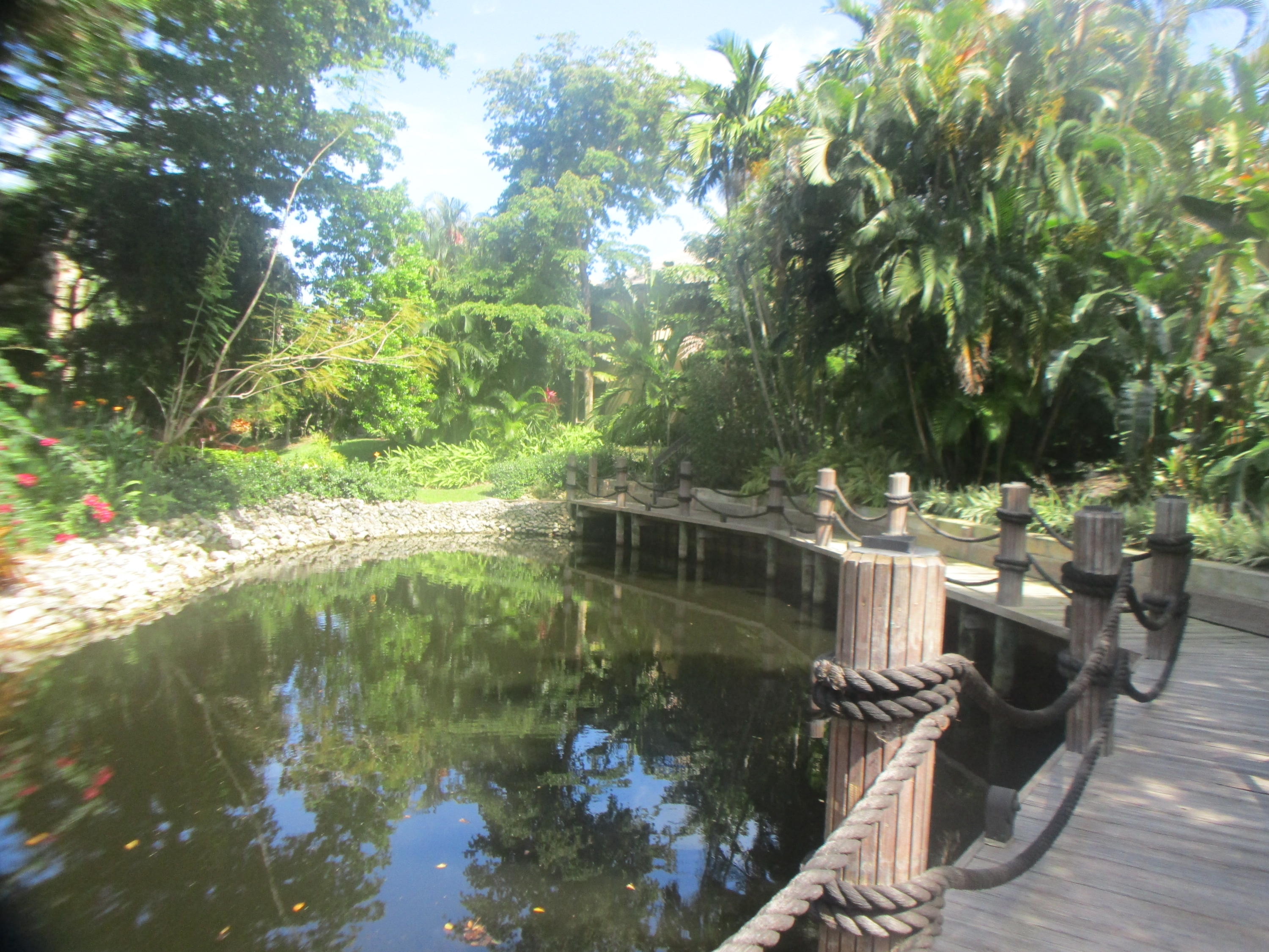 791 St Albans Drive Boca Raton, FL 33486 - Photo 39 of 41 Walking path around Pool