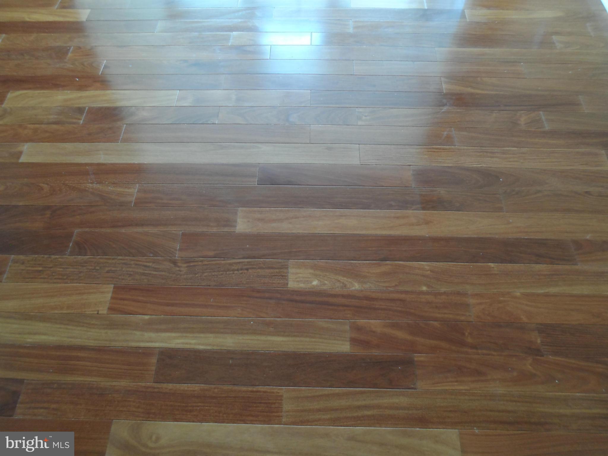 10105 Ridge Manor Terrace, Unit M Damascus, MD 20872 - Photo 9 of 19 Wood floor looks fantastic!