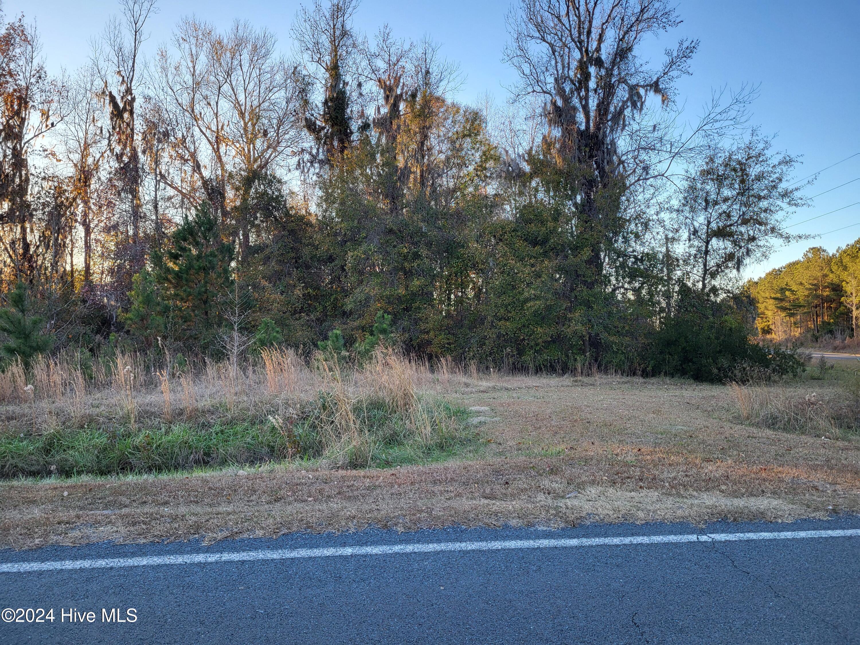 Lot D Lot D Mary's Chapel Church Road Aurora, NC 27806 - Photo 6 of 7 20241203_161316