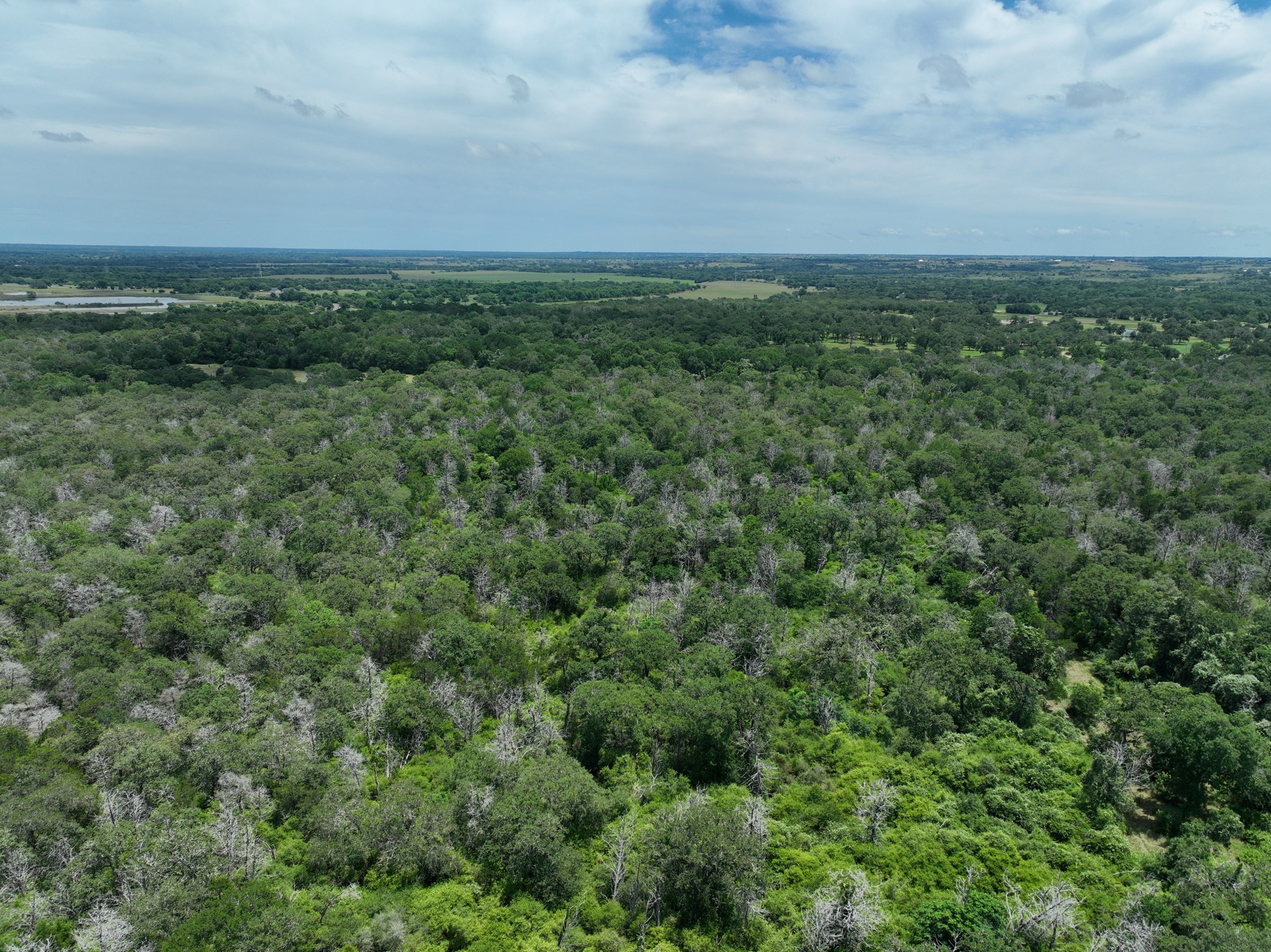 3233 Farm To Market 3233 Road La Grange, TX 78945 - Photo 4 of 18 Drone / aerial view of a heavily wooded area