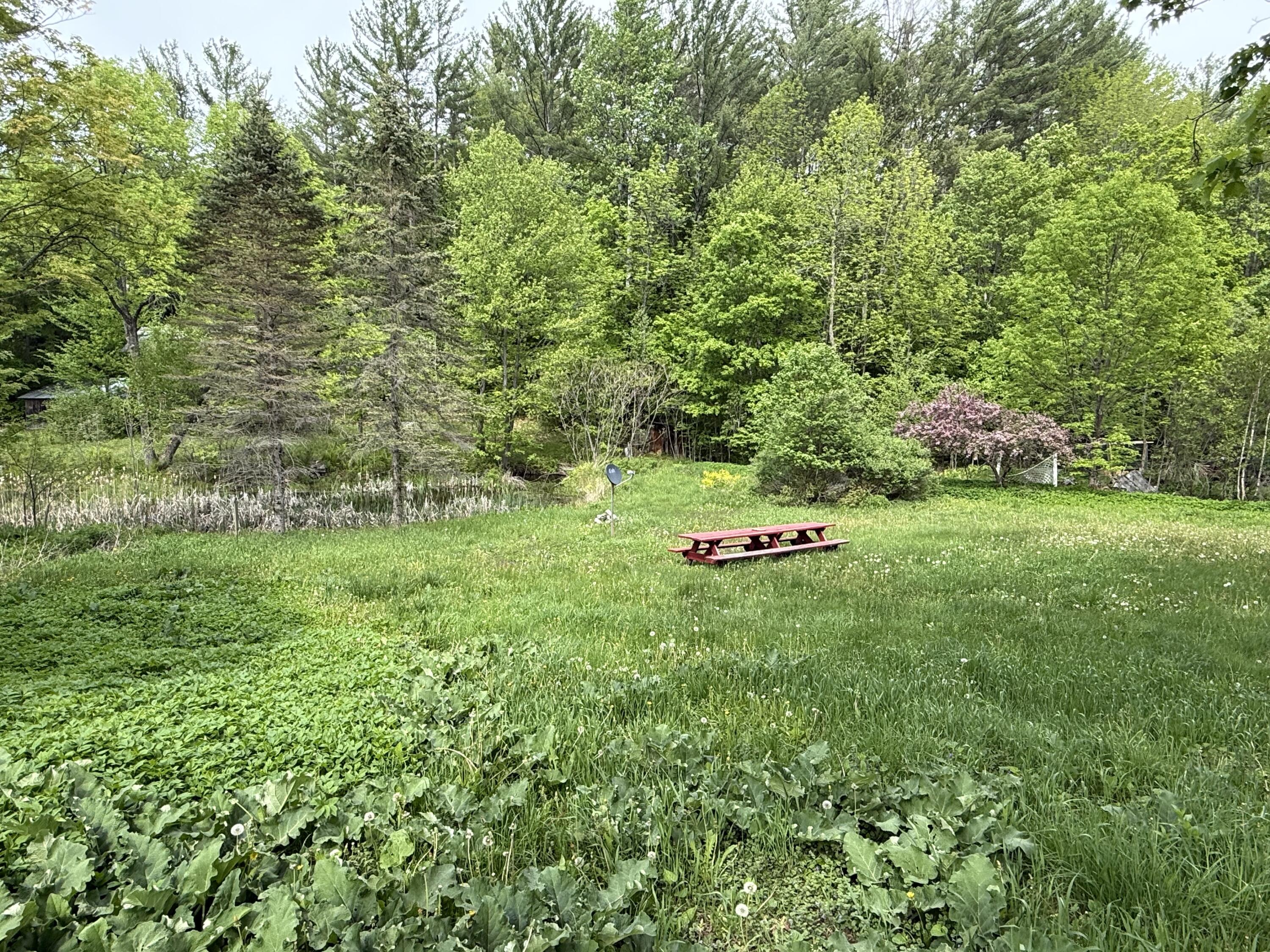 34 Cummings Hill Road Temple, ME 04984 - Photo 30 of 37 IMG_9717