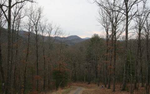 Lot 3 Fires Creek Road Hayesville, NC 28904 - Photo 1 of 1 a view of a forest