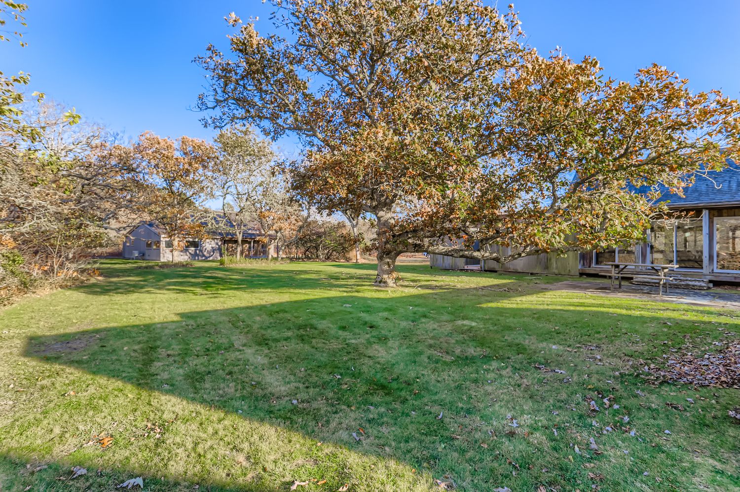 7 Black Point Road Chilmark, MA 02535 - Photo 44 of 47 a garden view