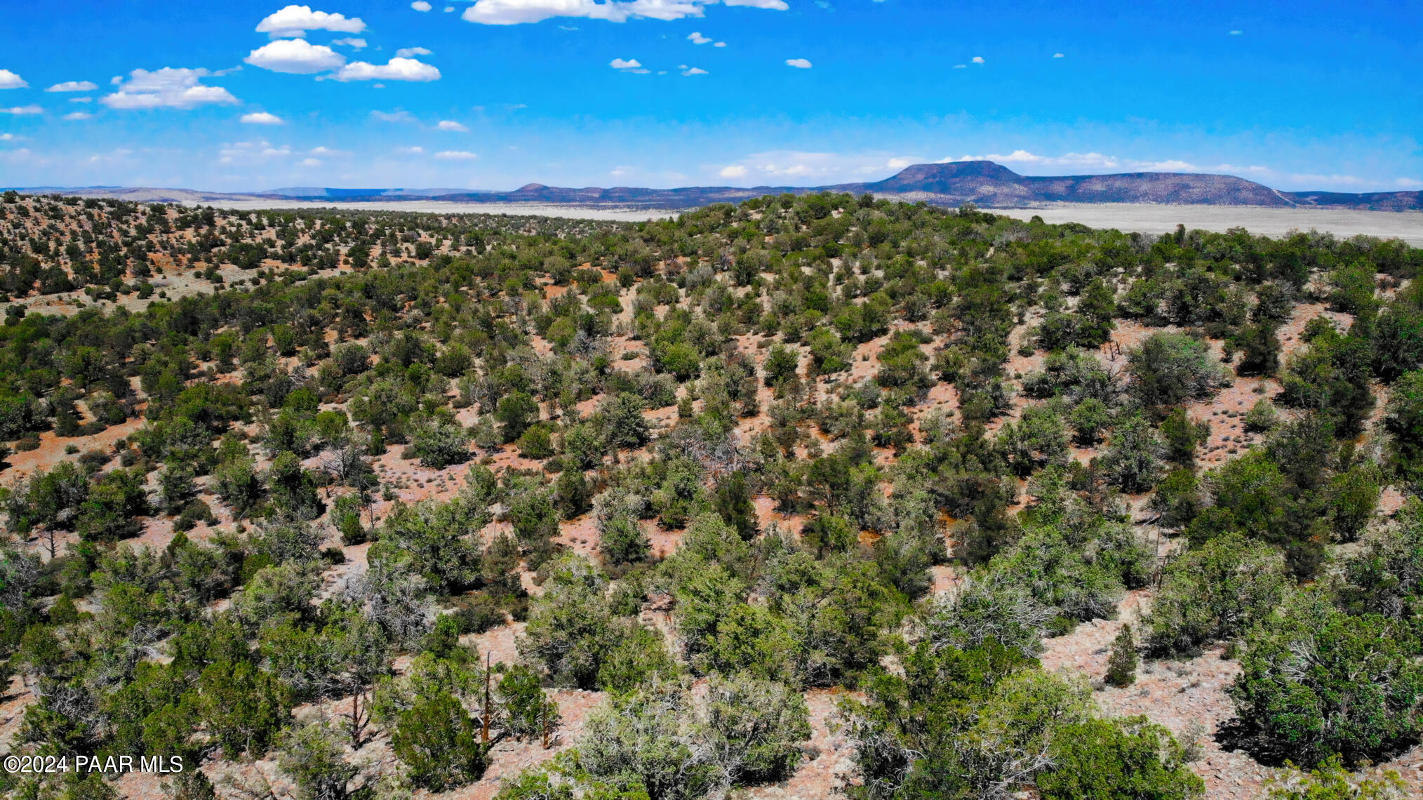 30117010 North Unnamed Road Seligman, AZ 86337 - Photo 5 of 10 a view of a city