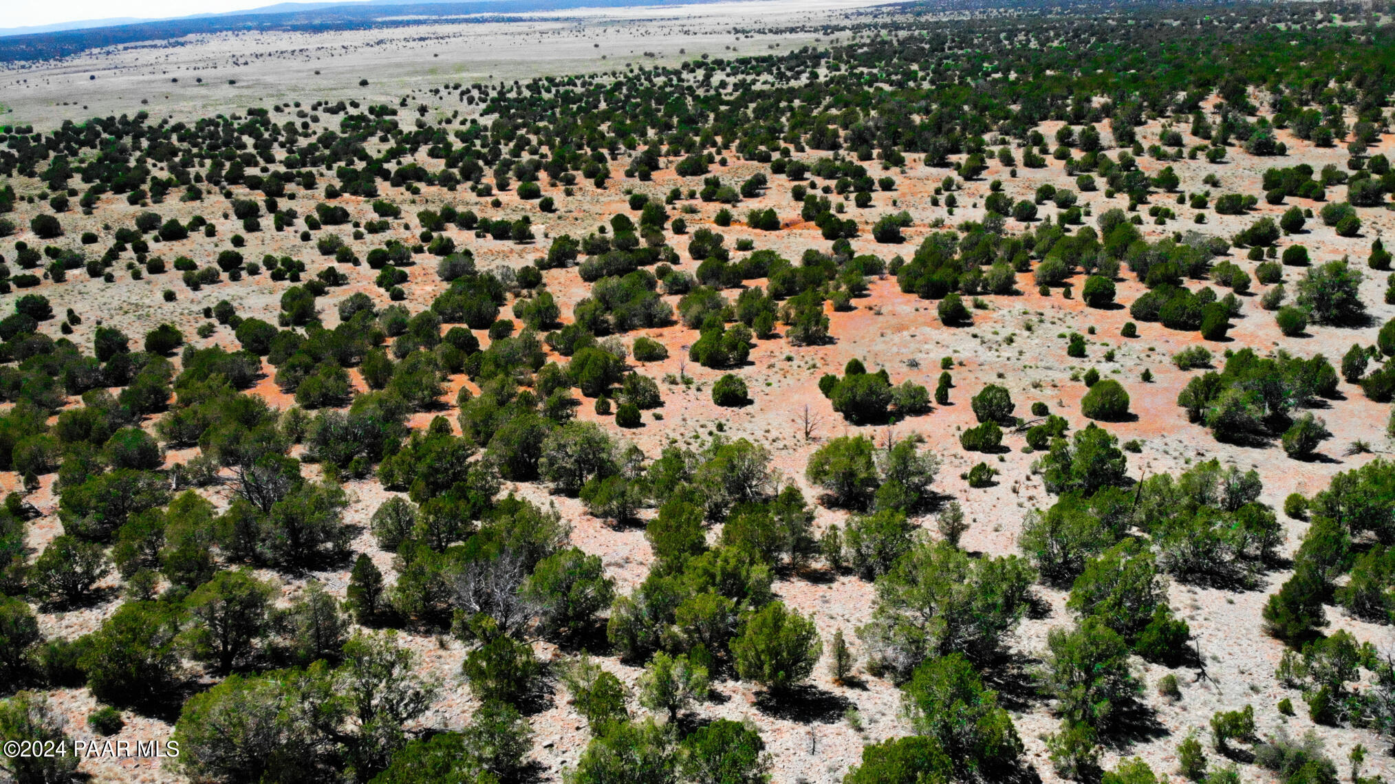 30117010 North Unnamed Road Seligman, AZ 86337 - Photo 7 of 10 a view of a city