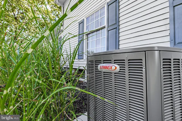 a view of a street with small plants