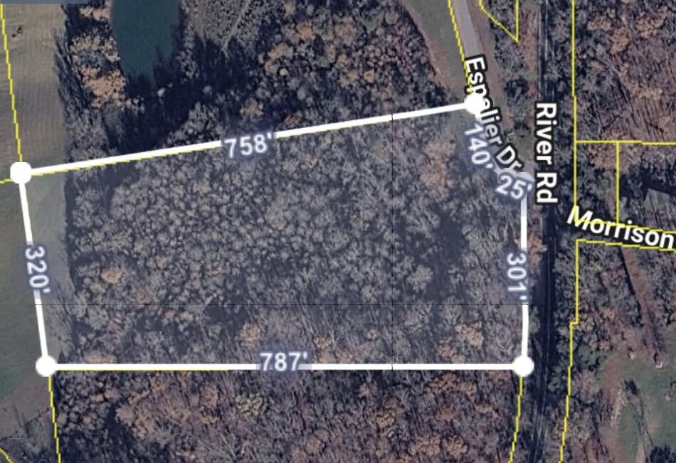 20 Espalier Drive, Unit LOT 20 Decatur, TN 37322 - Photo 3 of 7 ESPALIER BAY
