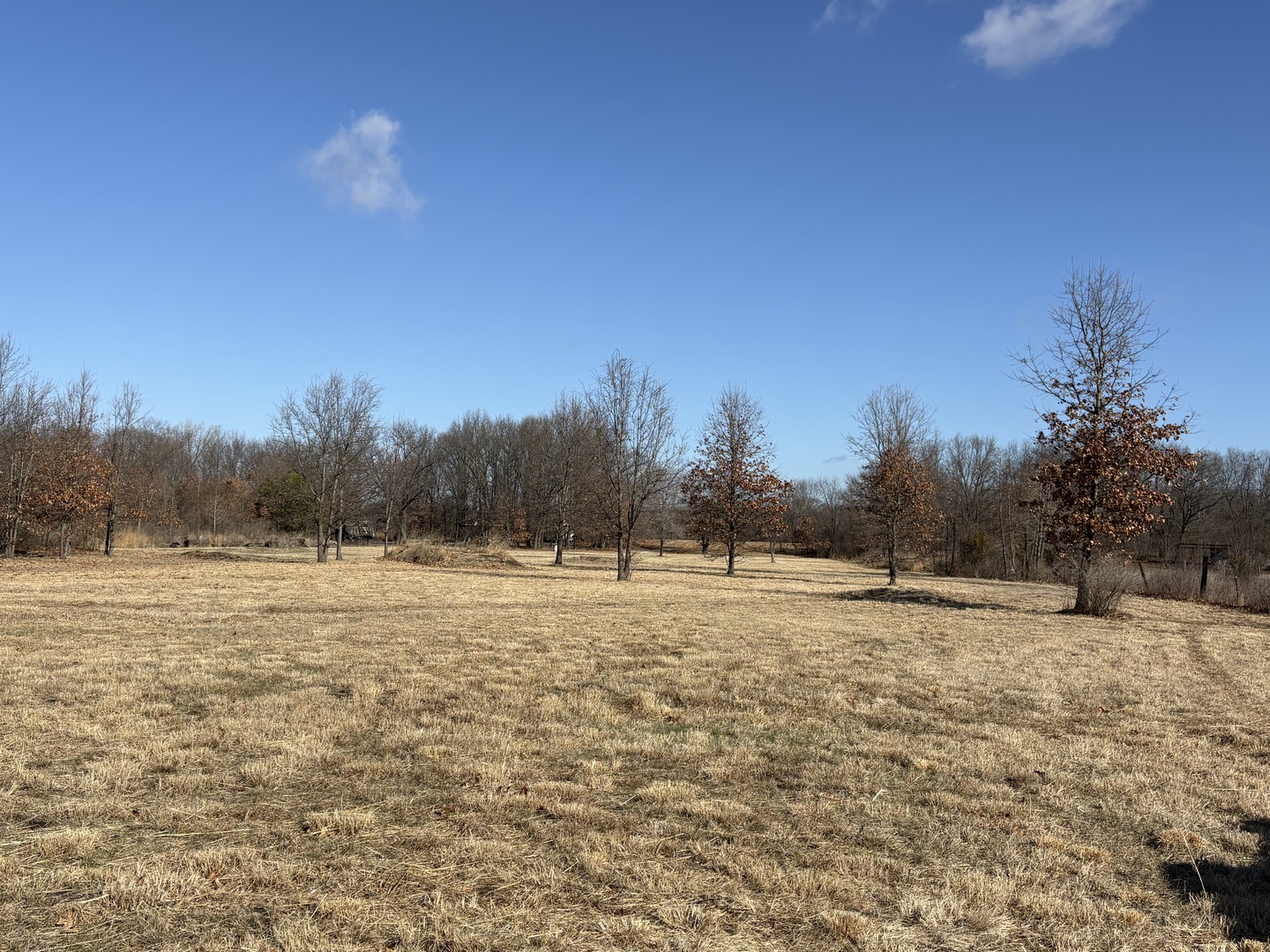 a view of outdoor space with trees