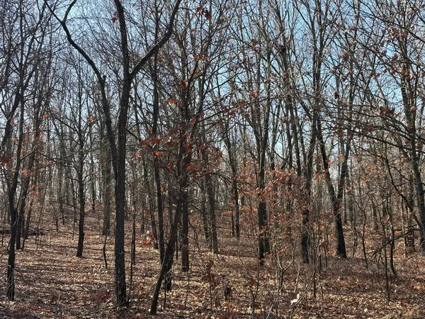 a view of outdoor space and a yard
