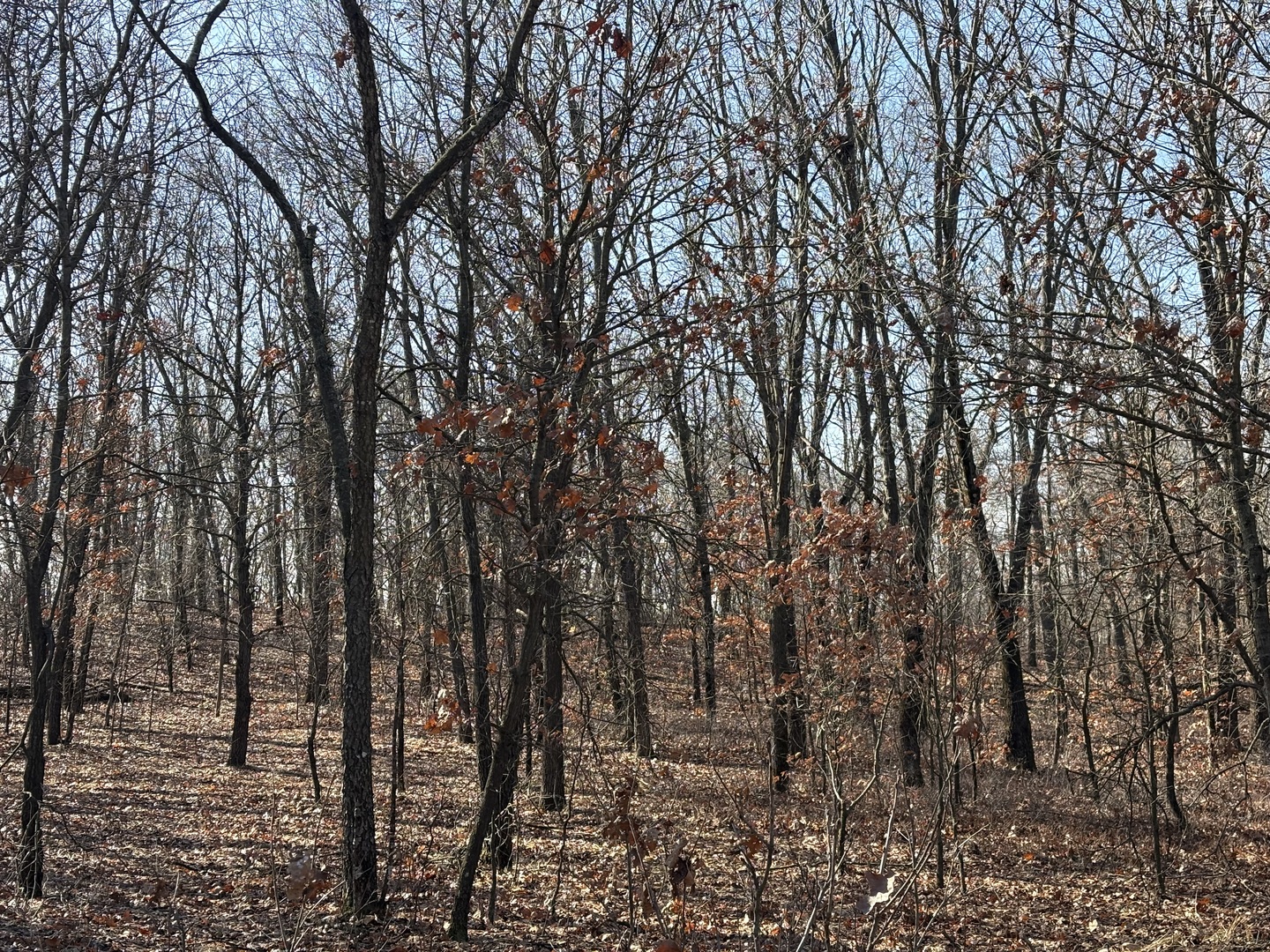 10000 East 4000 S Road St. Anne, IL 60964 - Photo 3 of 8 a view of outdoor space and a yard