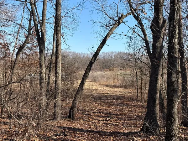 a view of a pathway of a yard