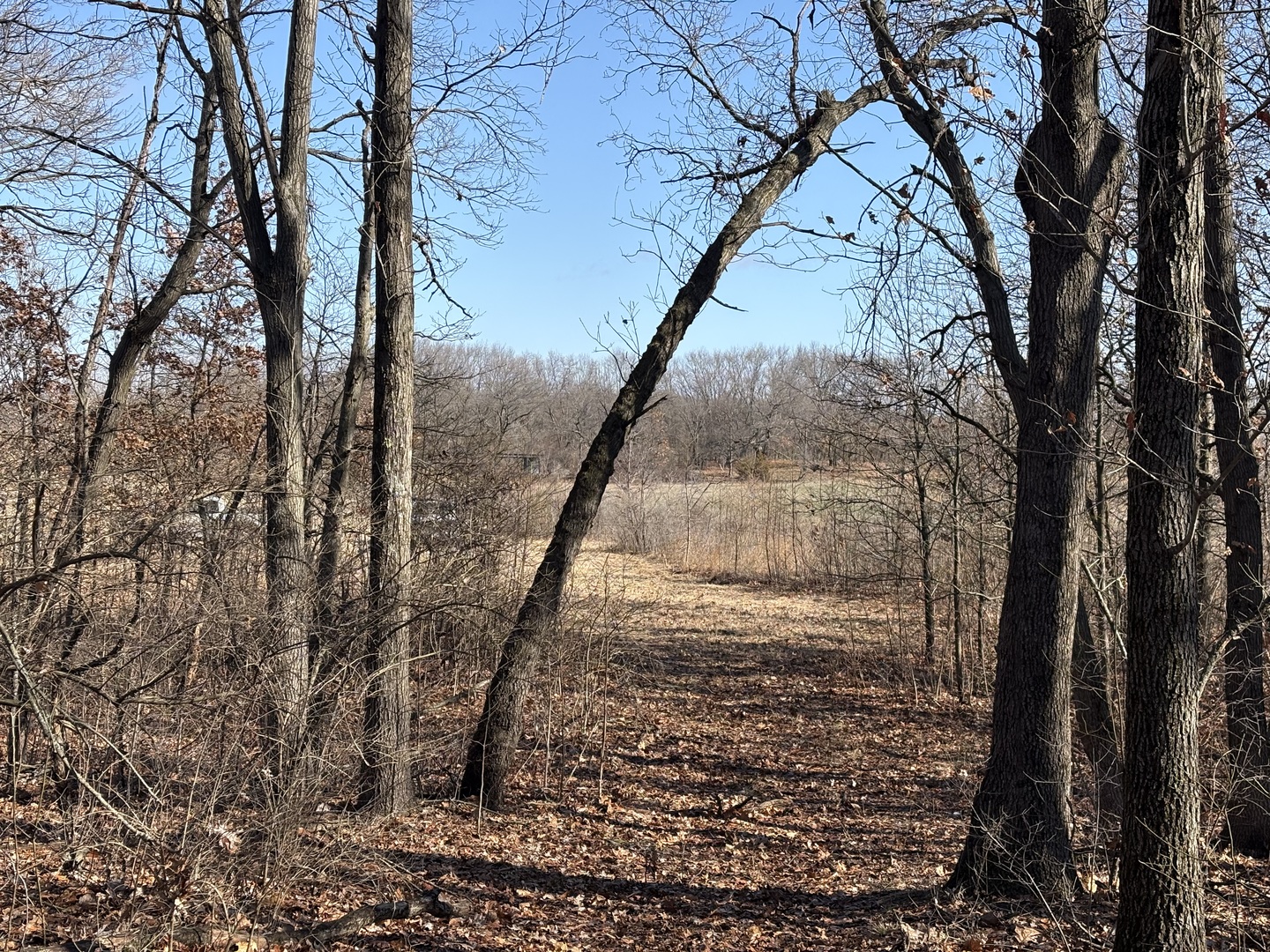 10000 East 4000 S Road St. Anne, IL 60964 - Photo 5 of 8 a view of a pathway of a yard