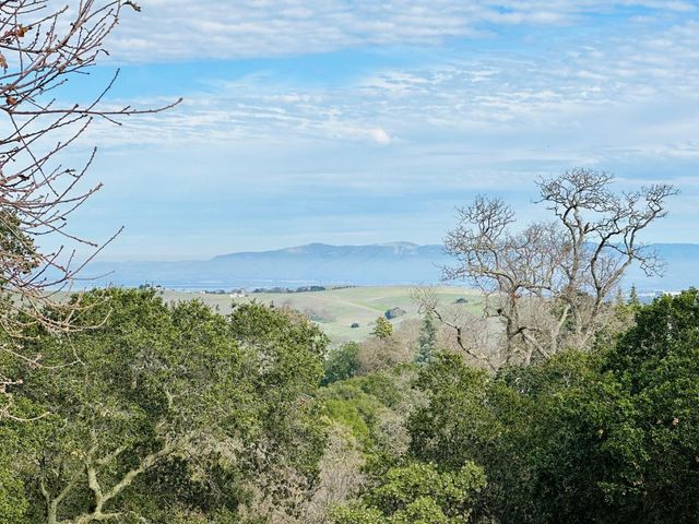 a view of beach and a yard