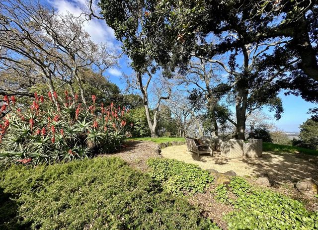 a view of a yard with large tree