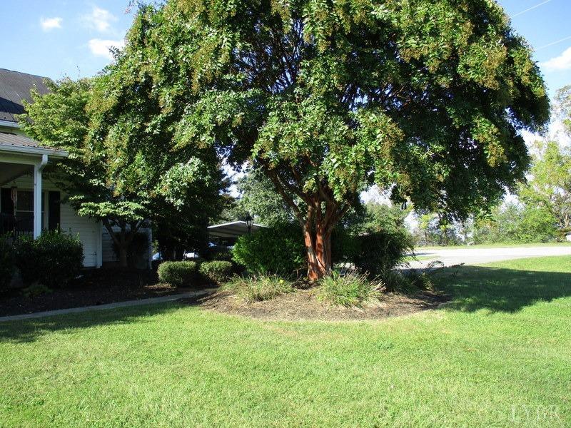 4740 Payneton Road Chatham, VA 24531 - Photo 9 of 49 a view of a tree in front of a house