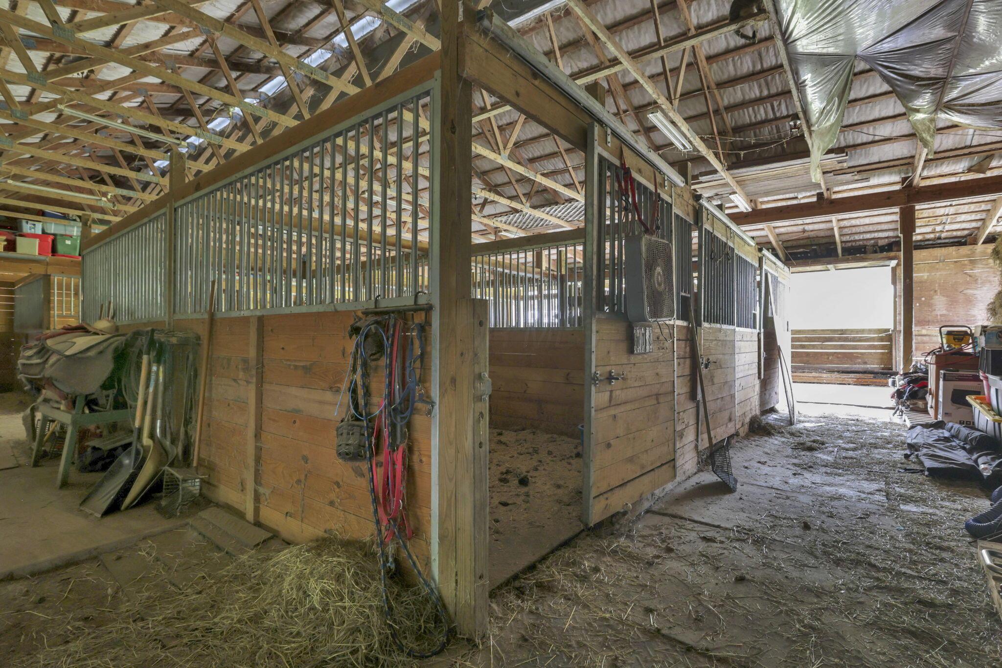 3610 Henpeck Road Utica, OH 43080 - Photo 64 of 88 9- 12x12 horse stalls with electric for fans and heated buckets