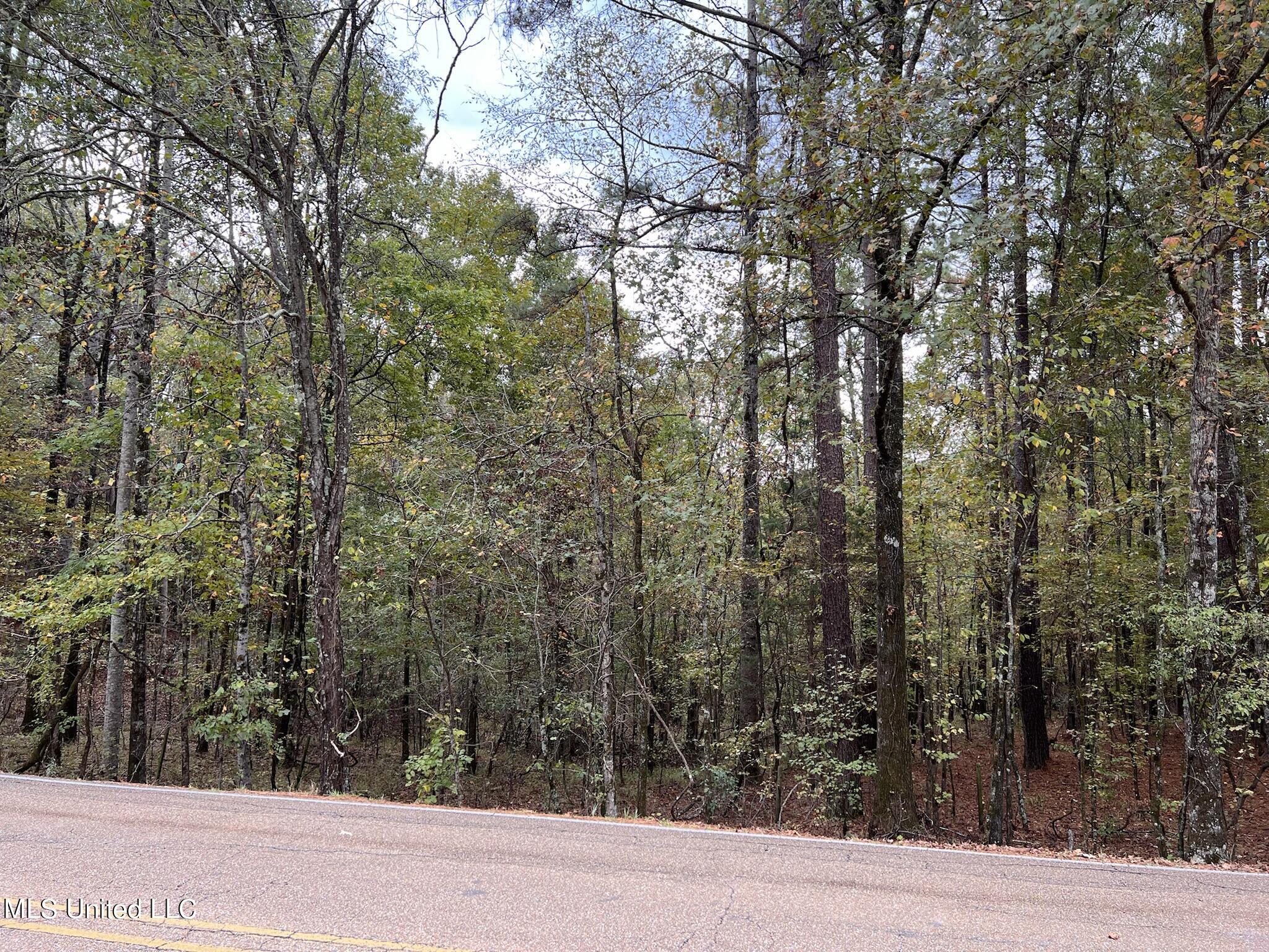 Lake Cavalier Rd Road Madison, MS 39110 - Photo 6 of 8 IMG_6300