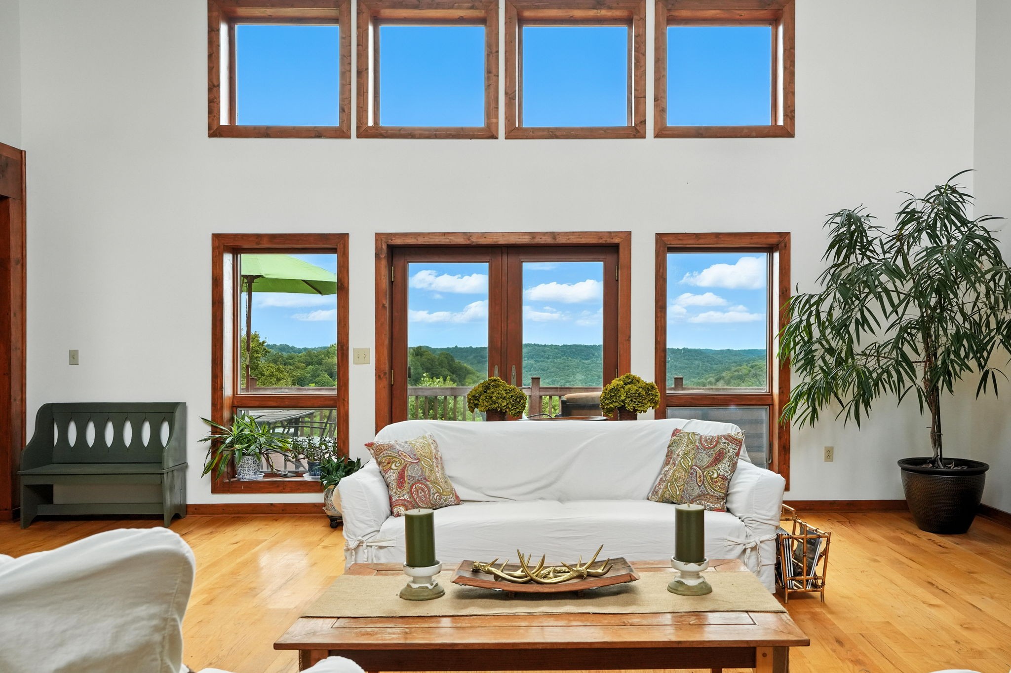 4445 Hurricane Ridge Road Smithville, TN 37166 - Photo 13 of 84 a living room with furniture and a potted plant