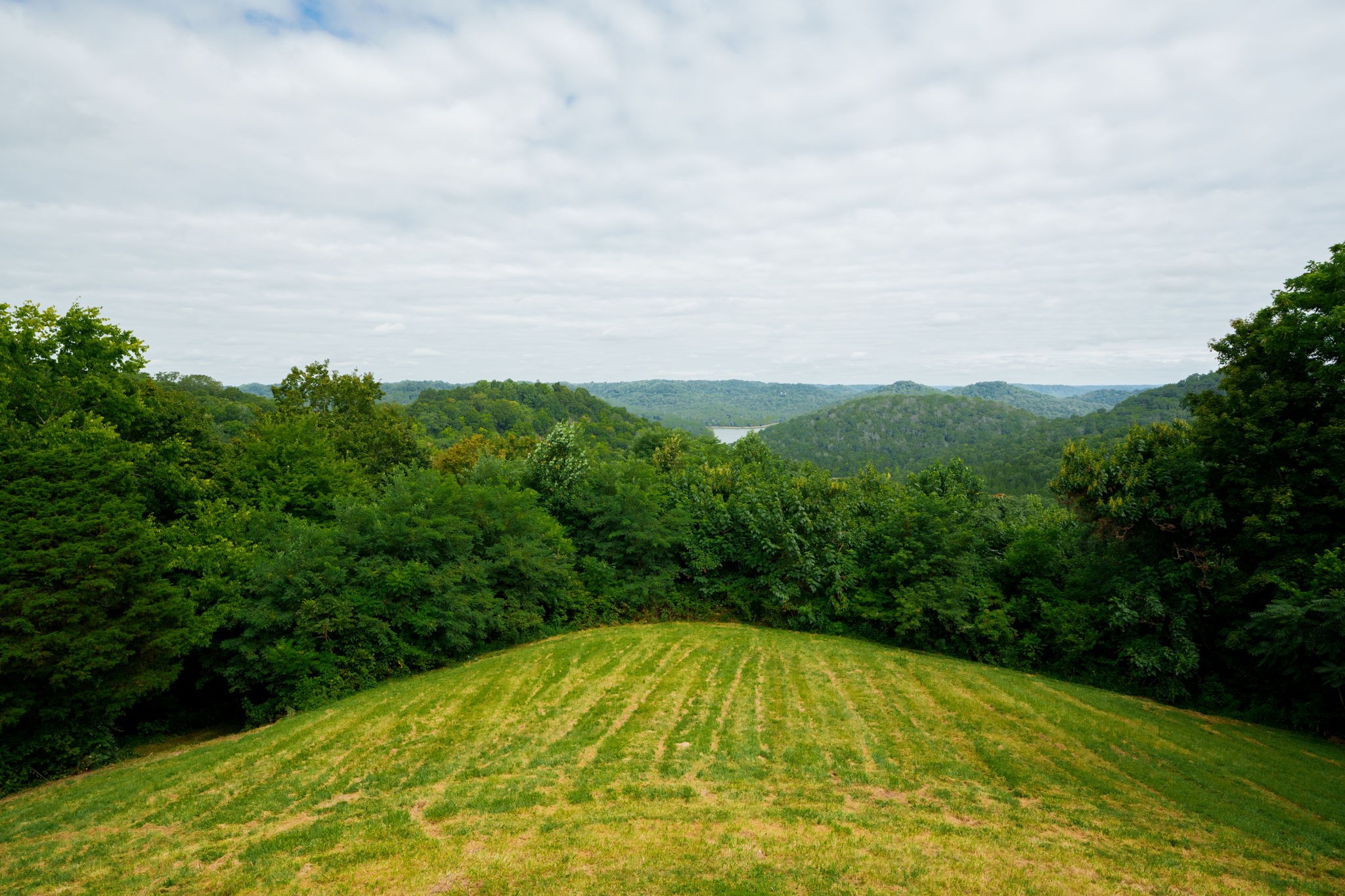 4445 Hurricane Ridge Road Smithville, TN 37166 - Photo 60 of 84 a view of a swimming pool with a yard